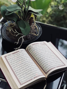 Ivory velvet quran