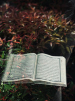 Load image into Gallery viewer, Grey Gift Sets With Premium Box
